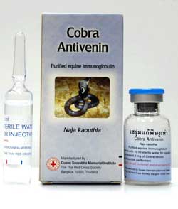 Cobra Antivenin on Snake-Wine-Cobra.com
