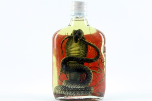 Snake Wine: Authentic Snake Liquor from Laos