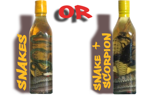 ORDER ONE MORE SNAKE WINE OR SCORPION WINE BOTTLE FOR 39 EUROS ONLY